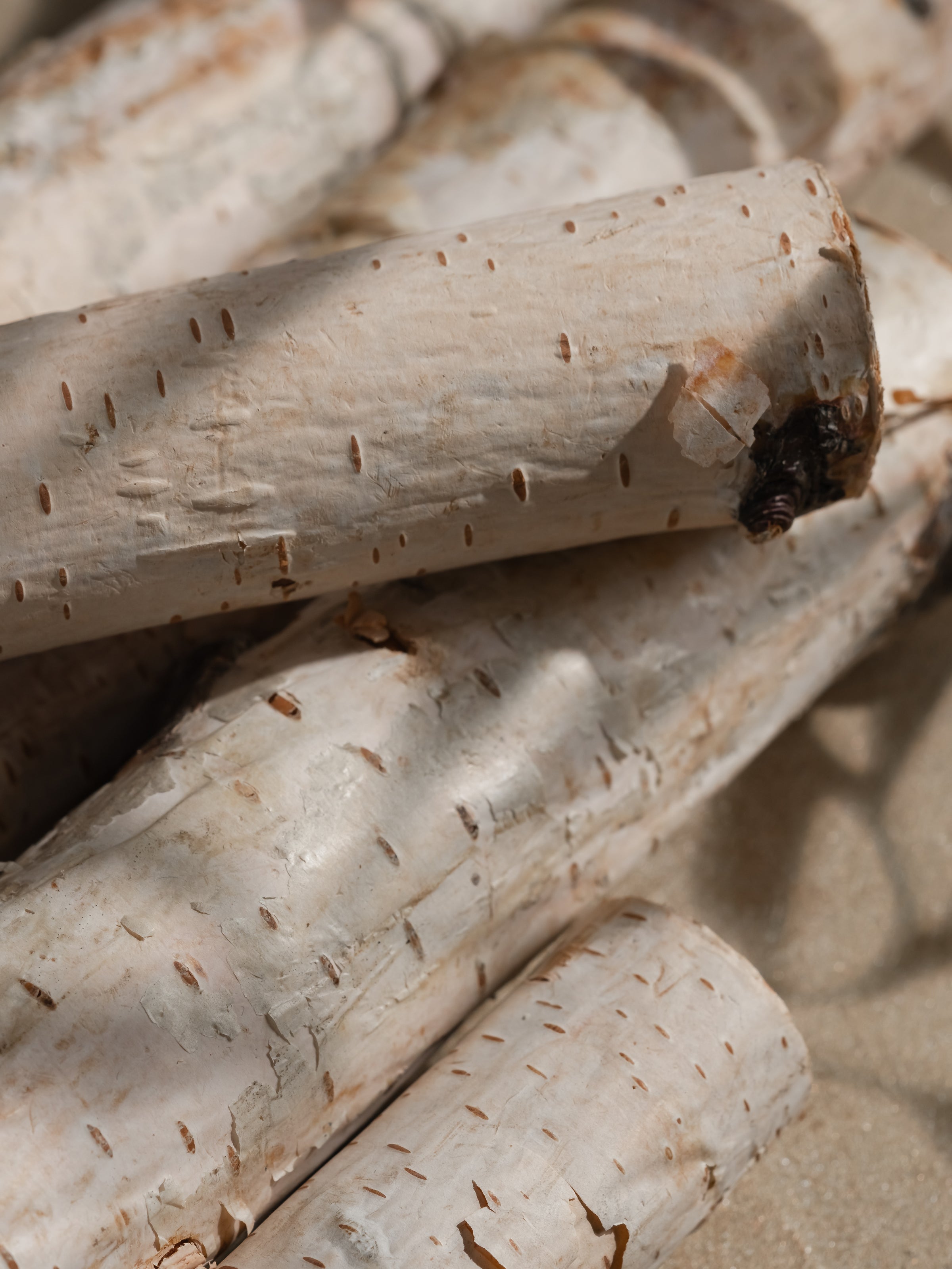 Ivory Woods - Discover Your Favorite Home Scent