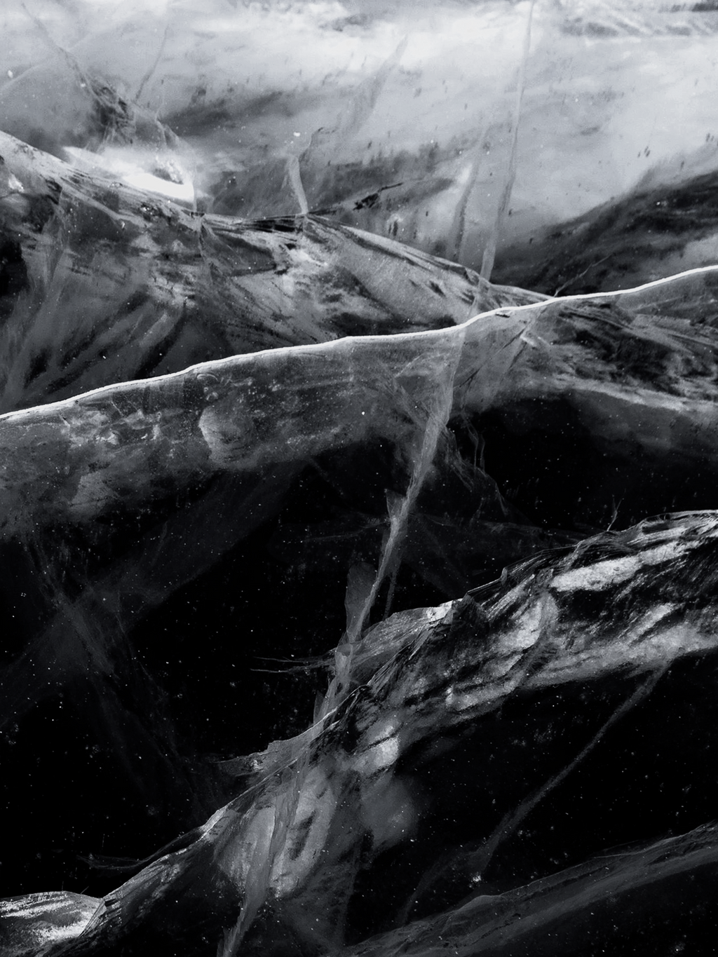 Black Frost - Fragrance for Every Moment