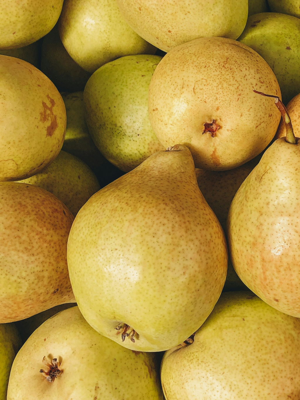 Cashmere Pear - Make Room for Freshness