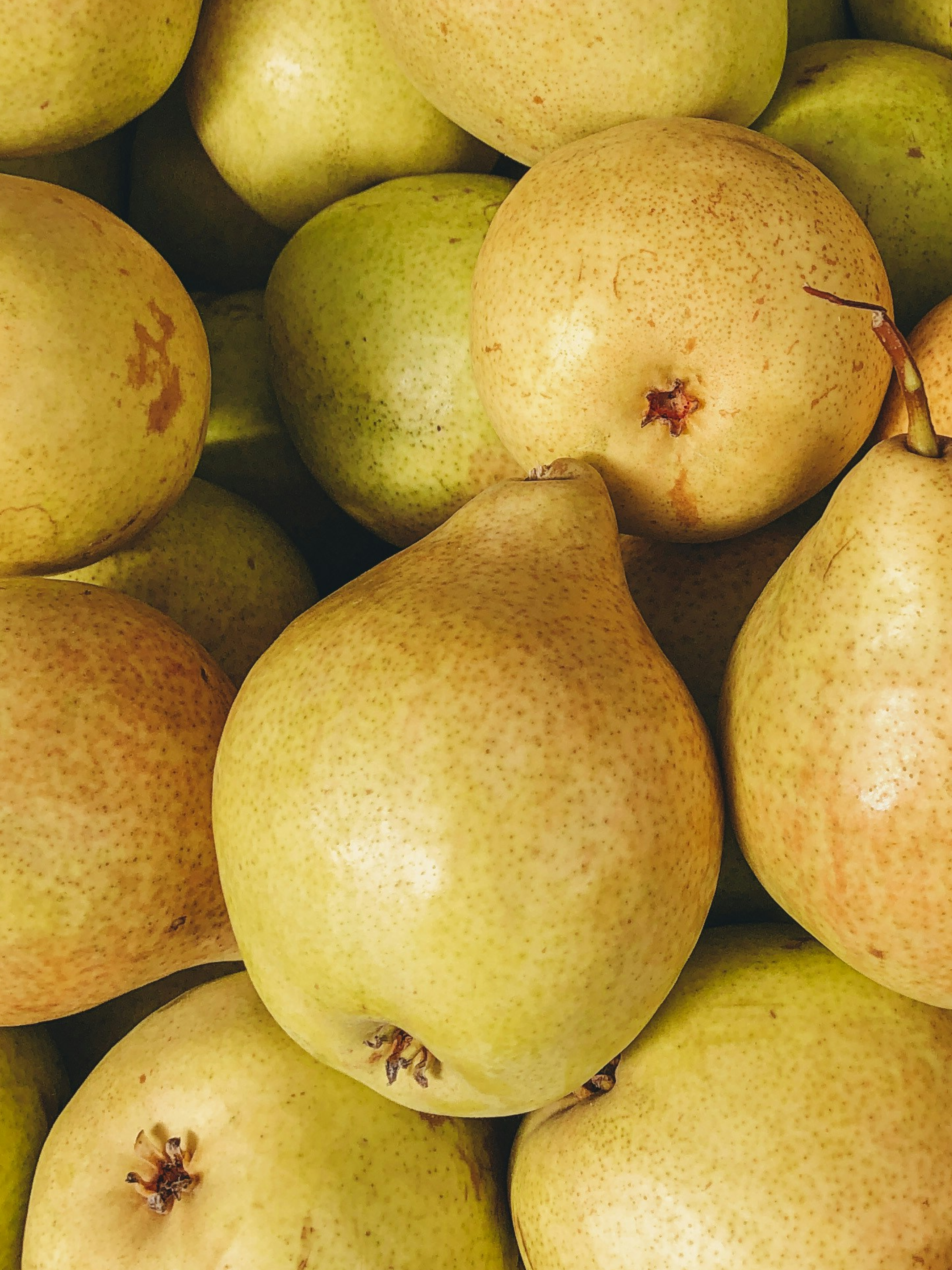 Cashmere Pear - Make Room for Freshness