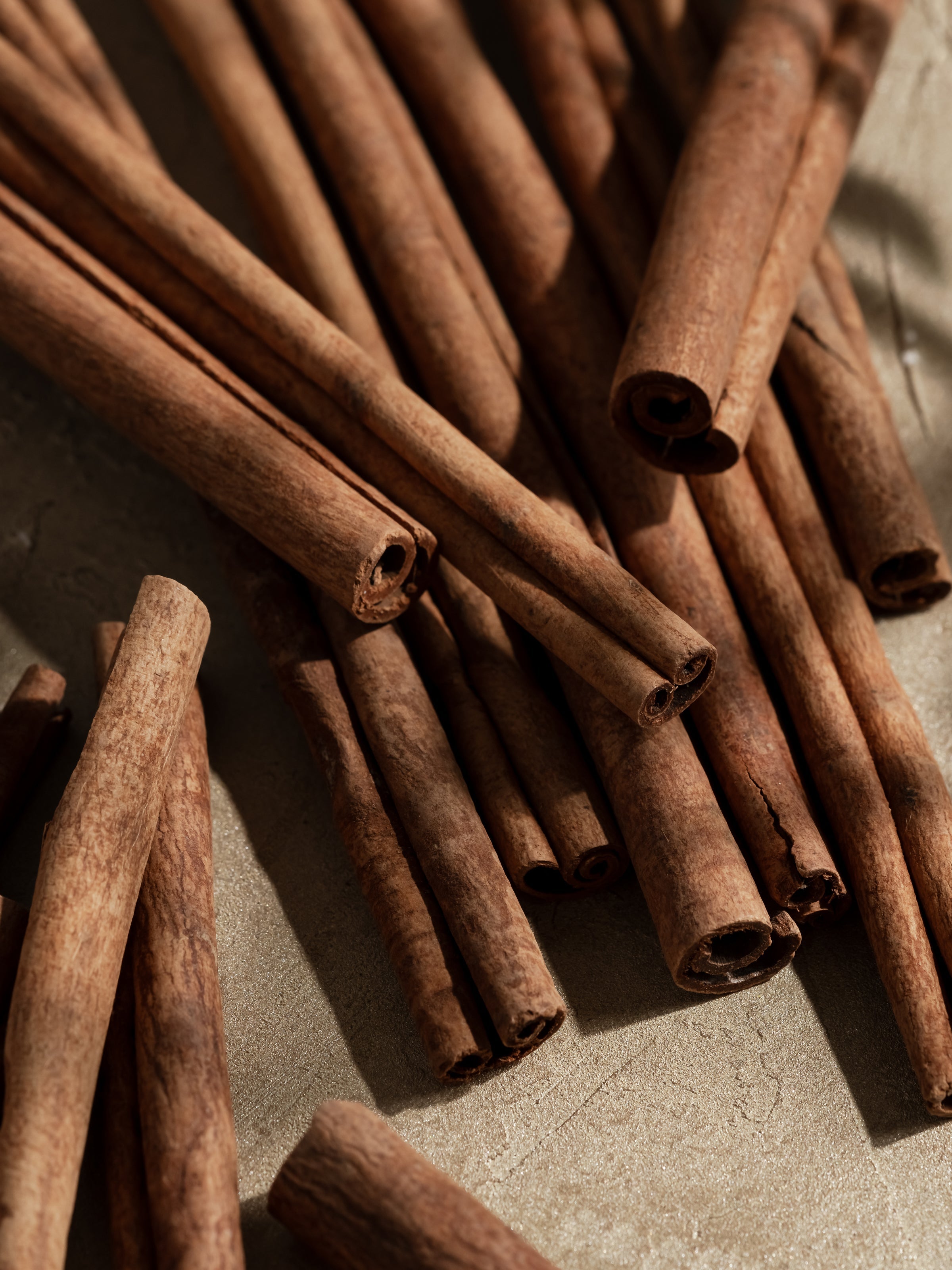 Holiday Spice - Create a Better First Impression