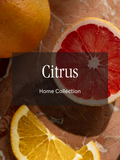 Citrus - Freshness Meets Everyday Style