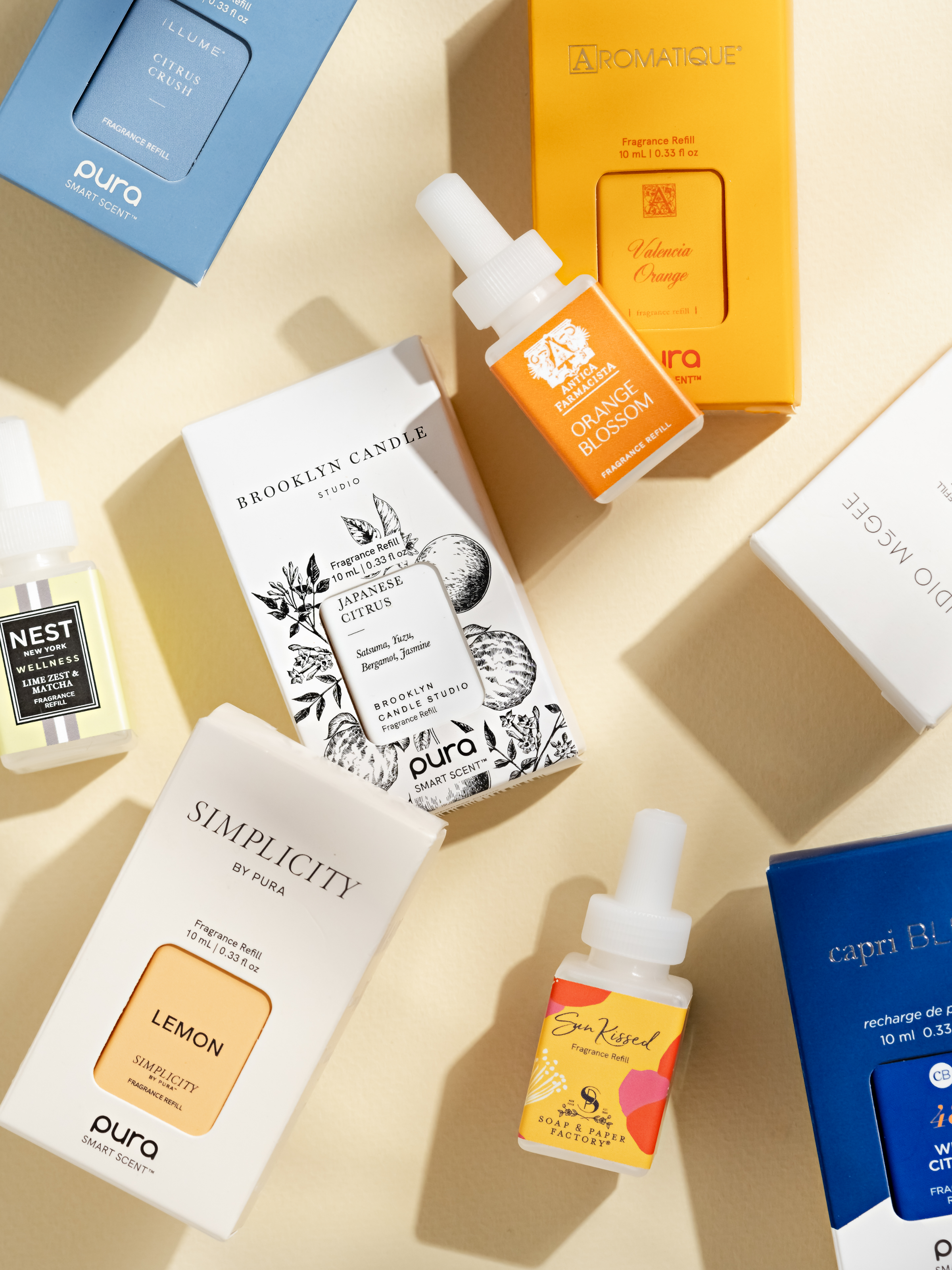 Citrus - Freshness Meets Everyday Style