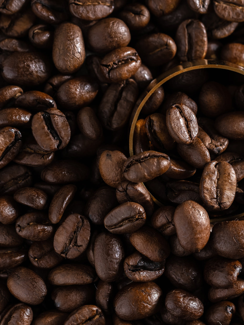 Reverie Roast - Your Scented Home Starts Here