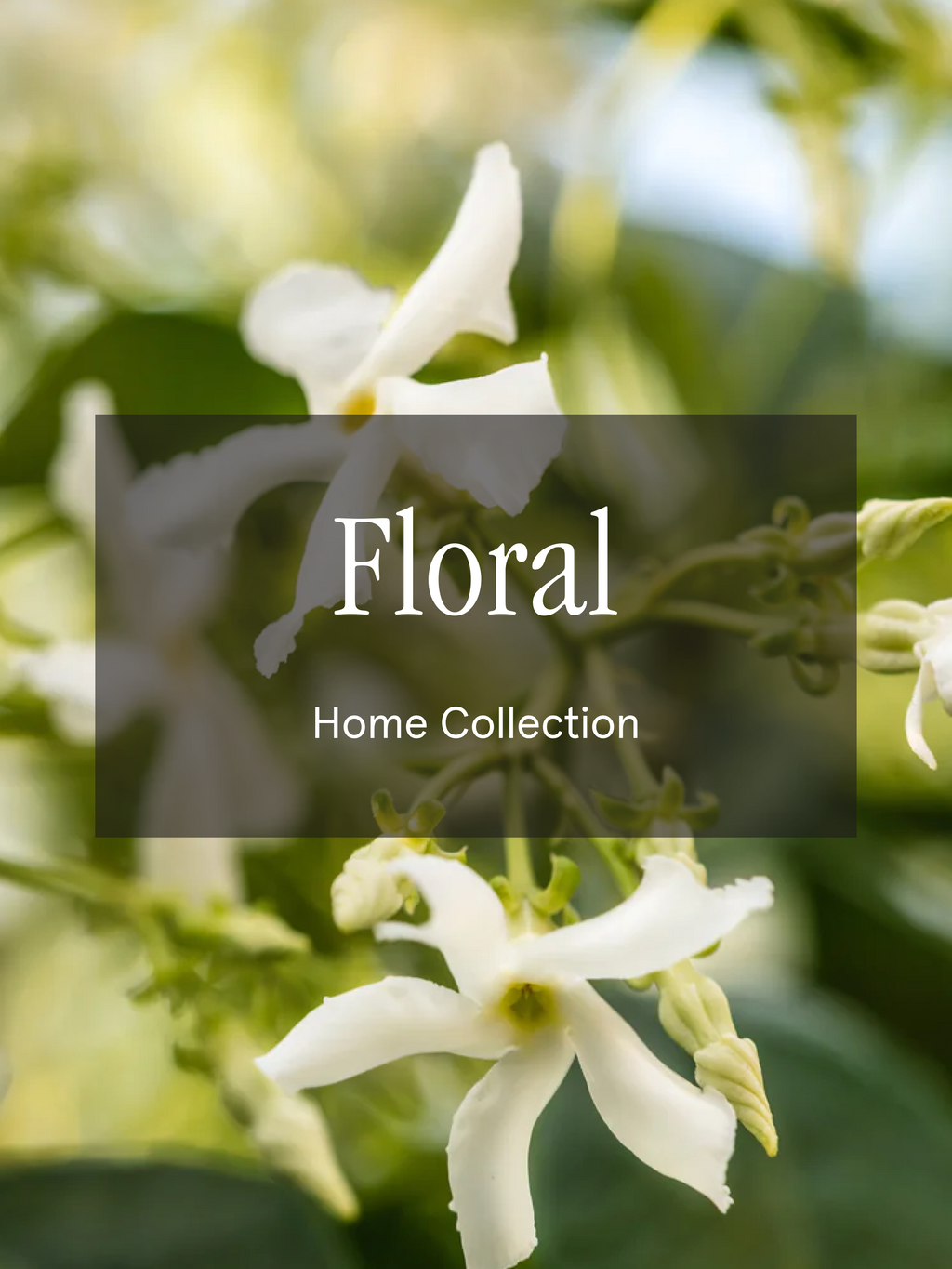 Floral - Fragrance That Feels Easy
