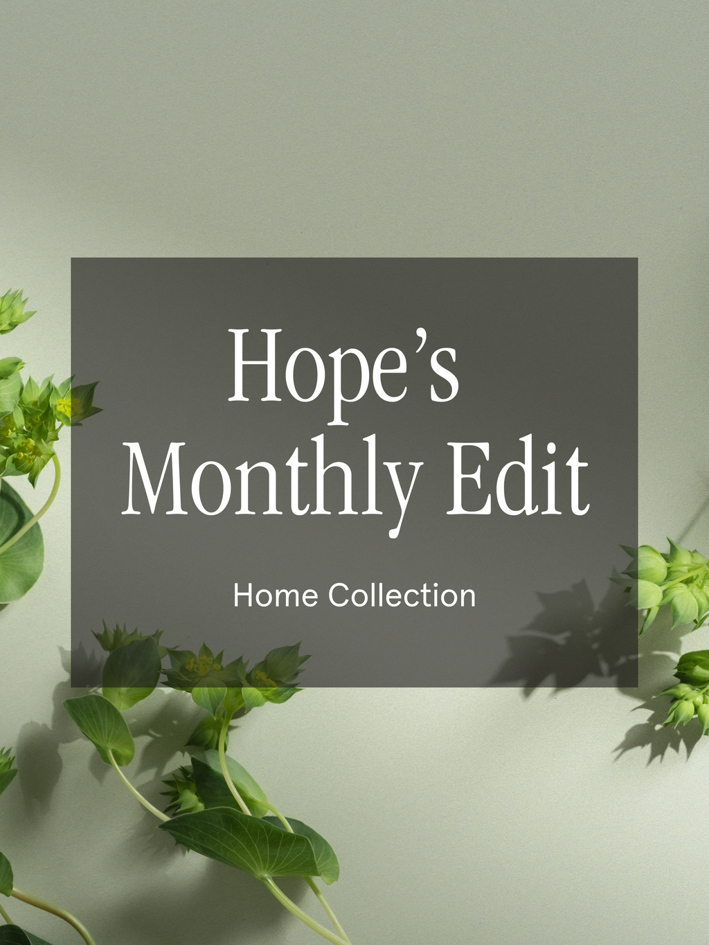 Hope's Monthly Edit - Freshness for Modern Living