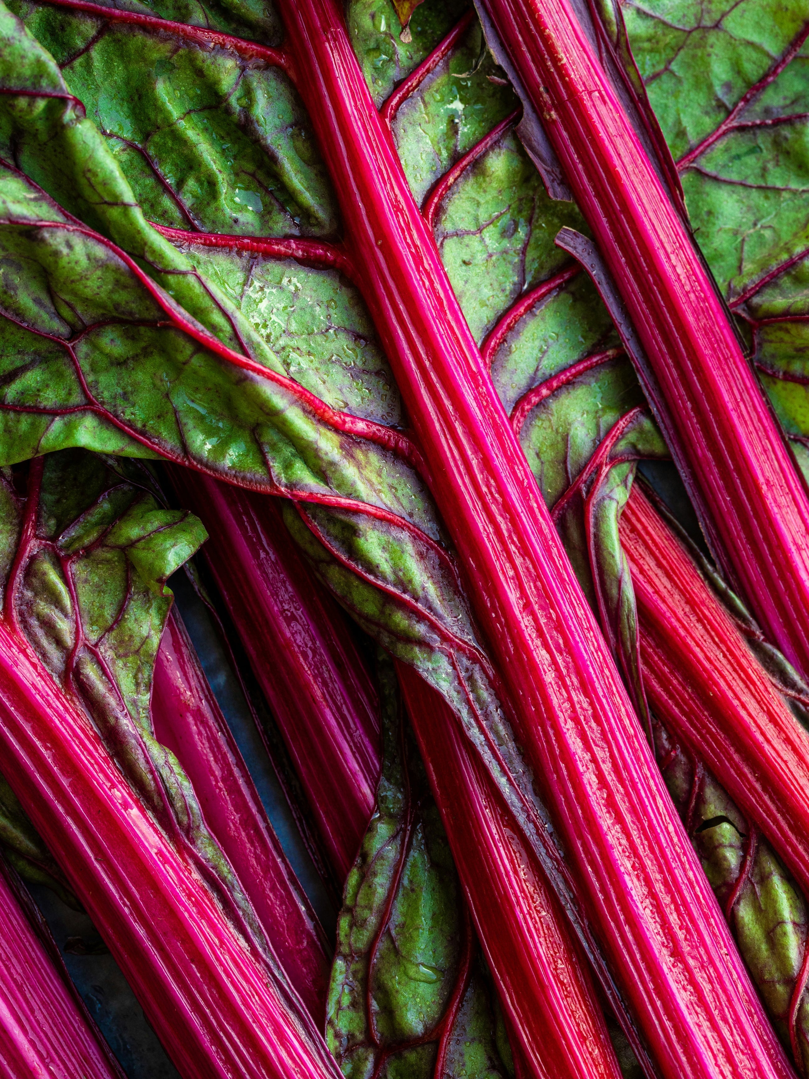 Rhubarb Honey - Make Every Room More Enjoyable