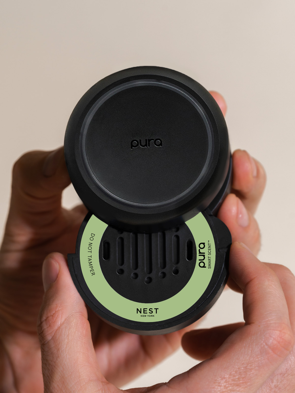 Bamboo - Discover Freshness for Home