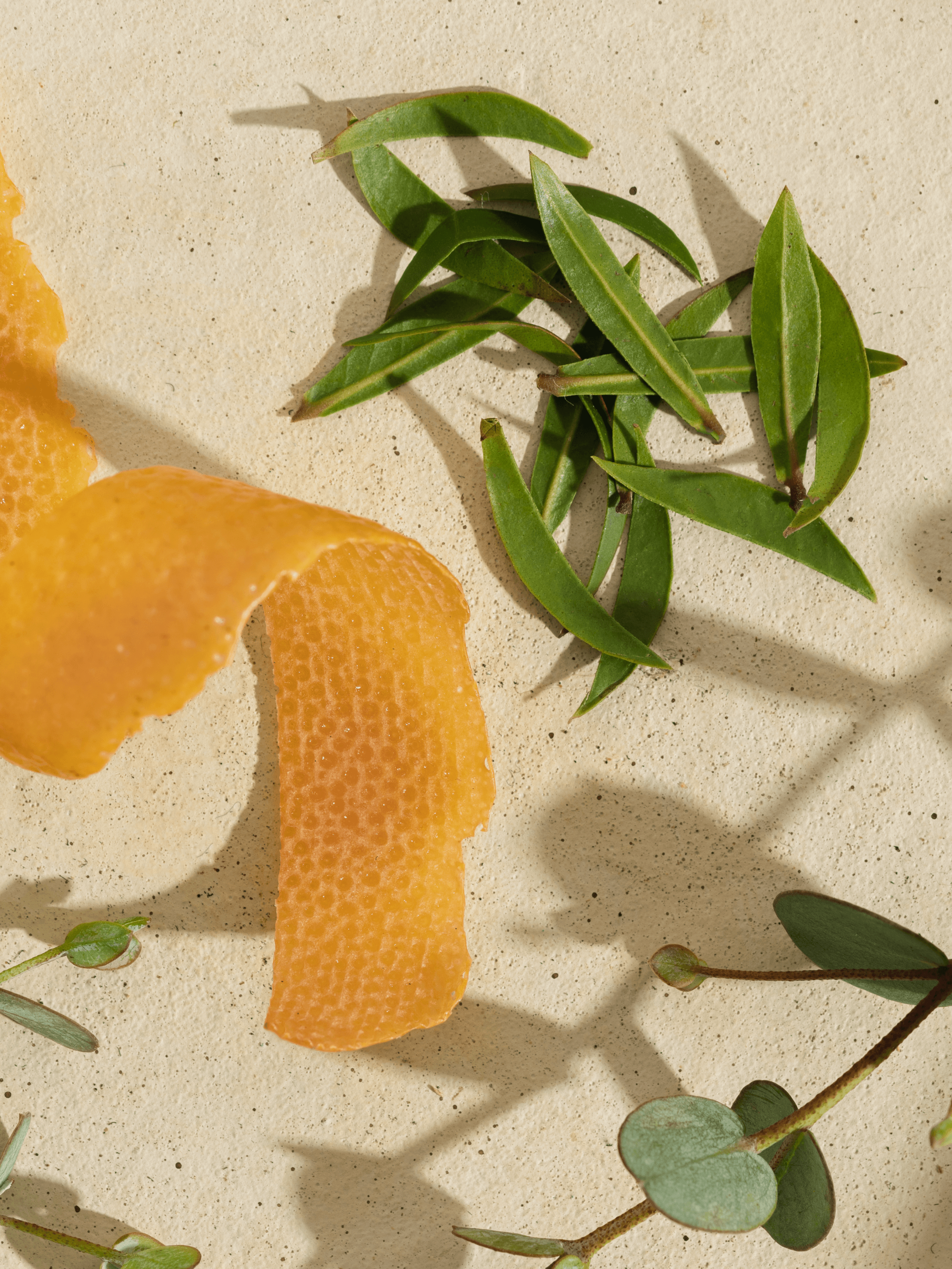 White Tea Blossom - Find Freshness for Every Room