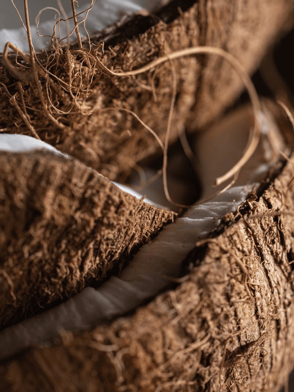 Coconut Oasis - Smart Fragrance Made Simple