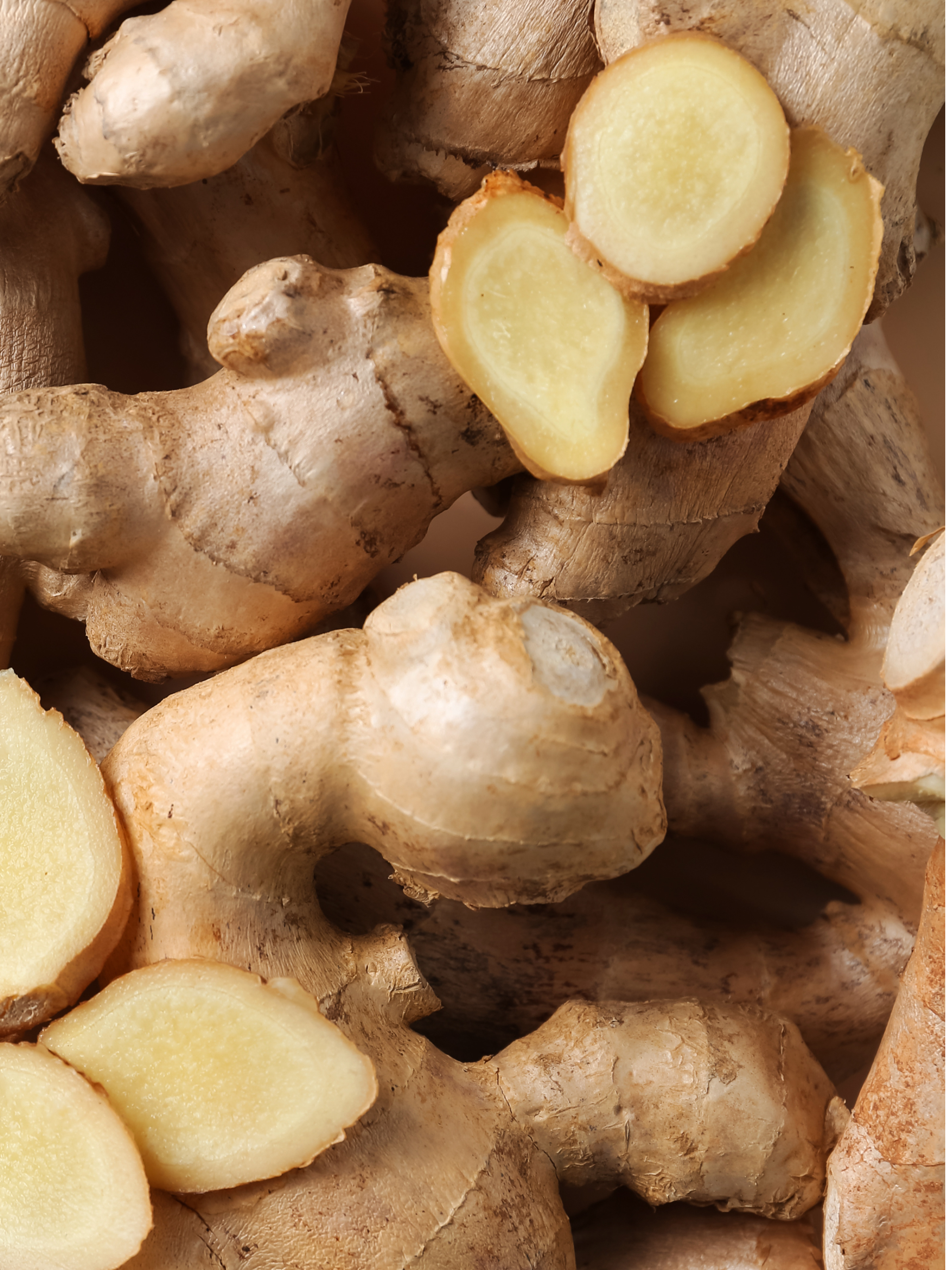 Pumpkin Ginger - Make Your Space Feel Inviting
