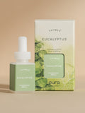 Eucalyptus - Make the Air Feel Better
