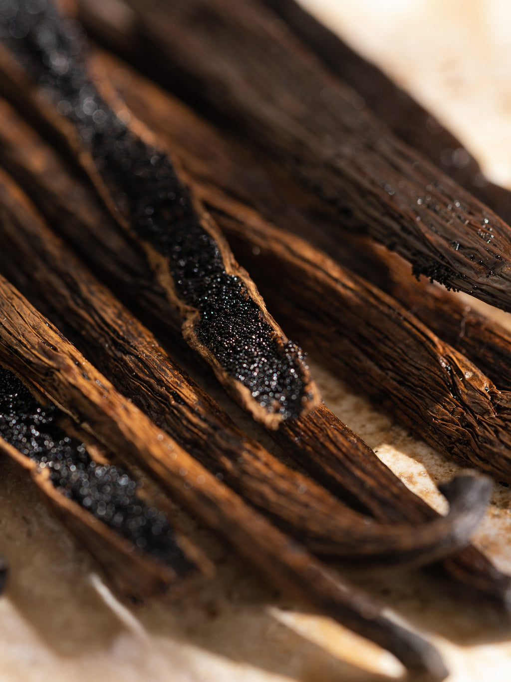 Havana Vanilla - Bring Home a Better Scent