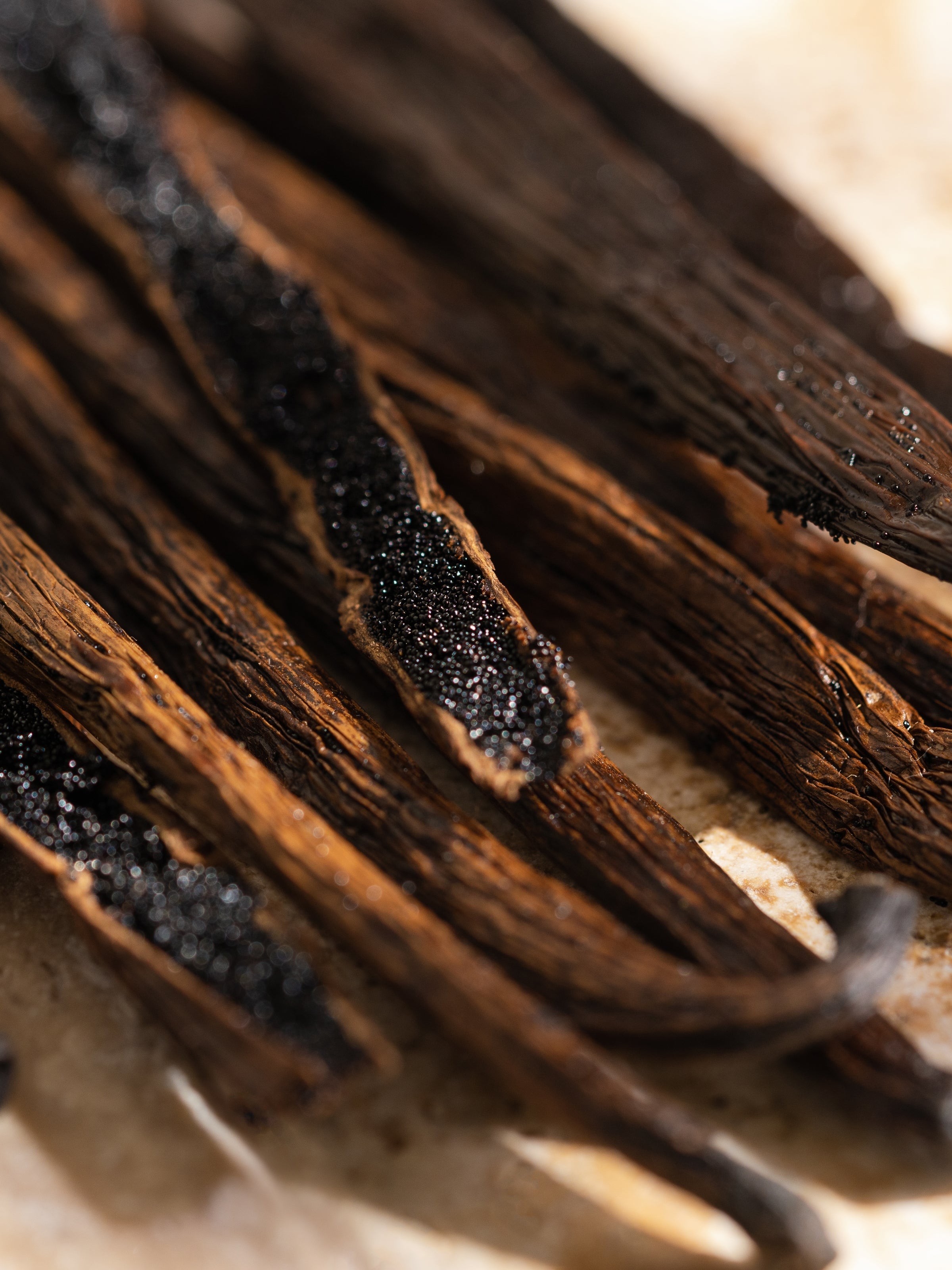 Havana Vanilla - No Flame Just Fresh Scent