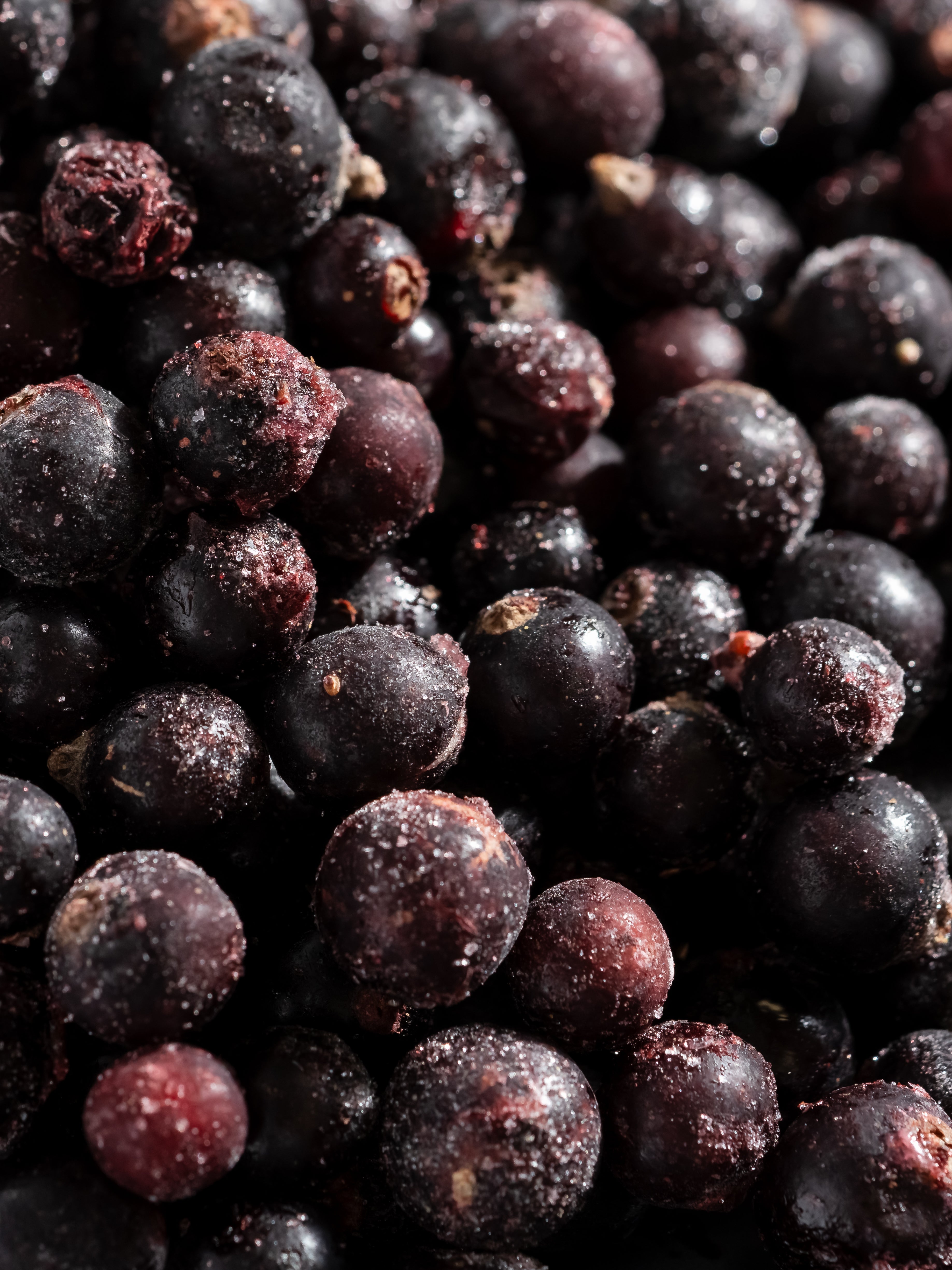 Sparkling Currant - Make Your Home Feel Brighter