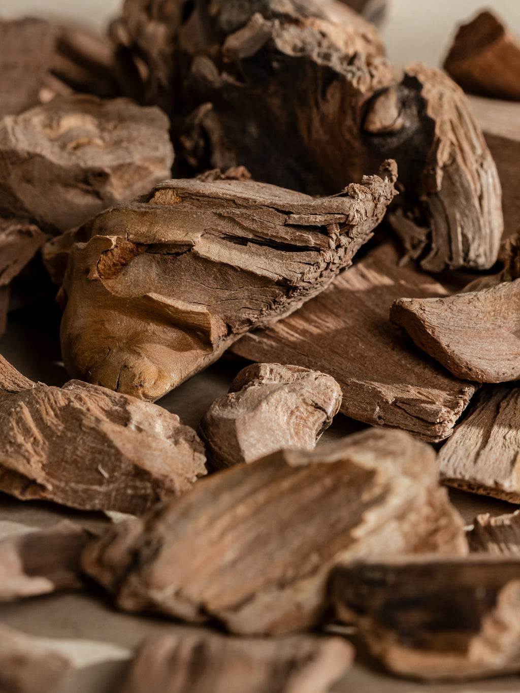 Chestnut Embers - Fresh Scent for Busy Days