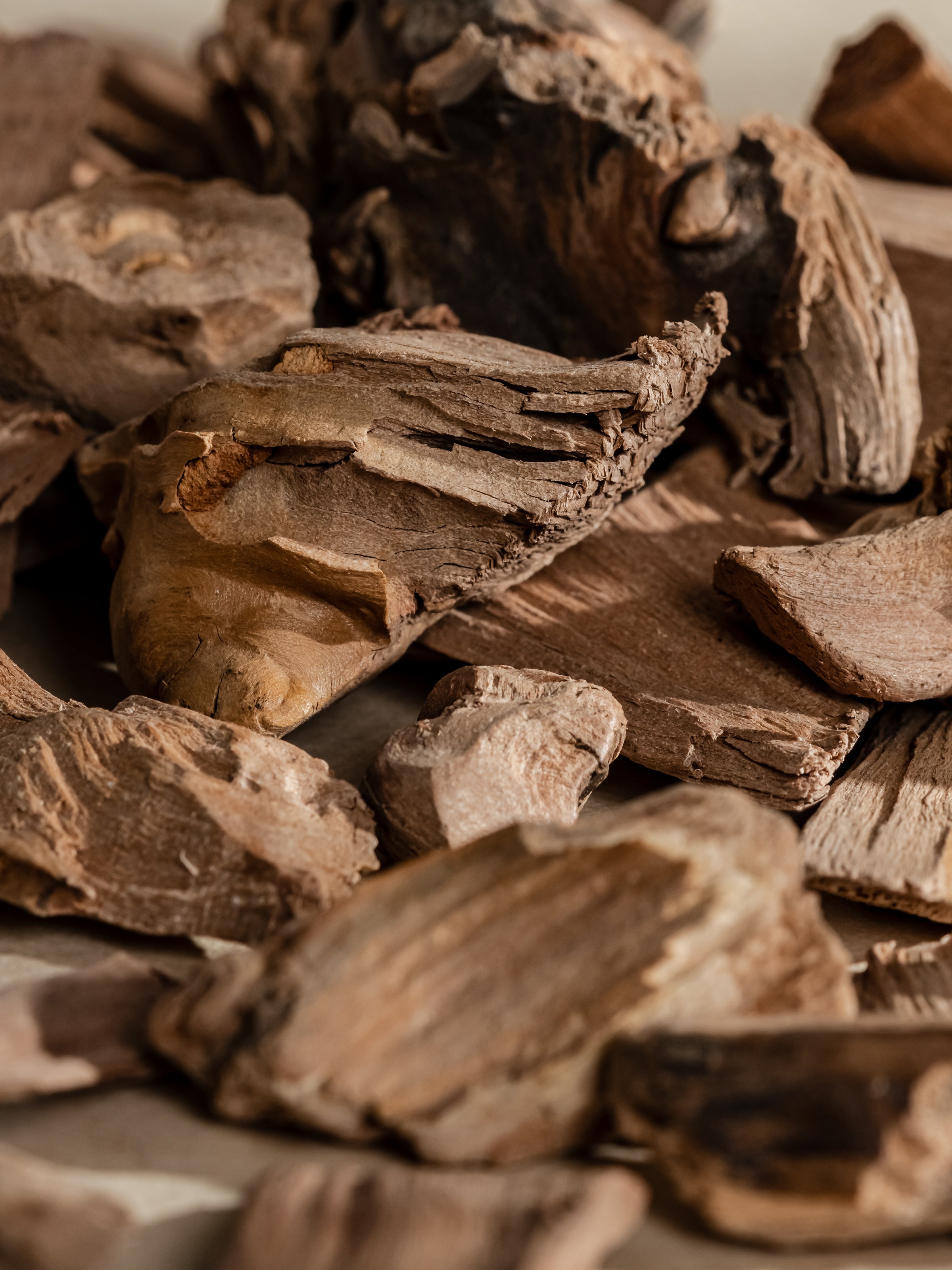 Chestnut Embers - Fresh Scent for Busy Days