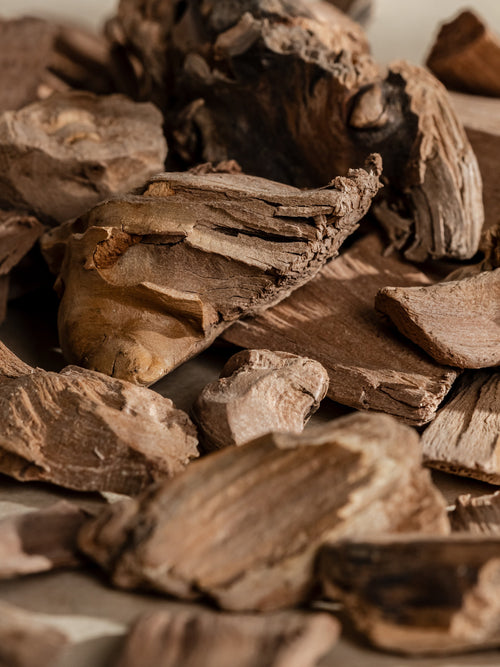 Chestnut Embers - Fresh Scent for Busy Days
