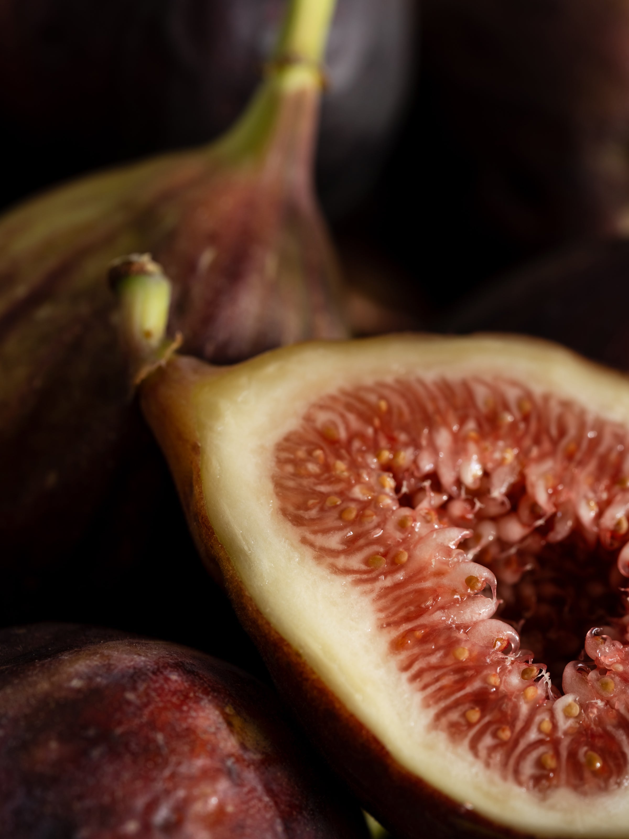 Riviera Fig - Make Room for Freshness