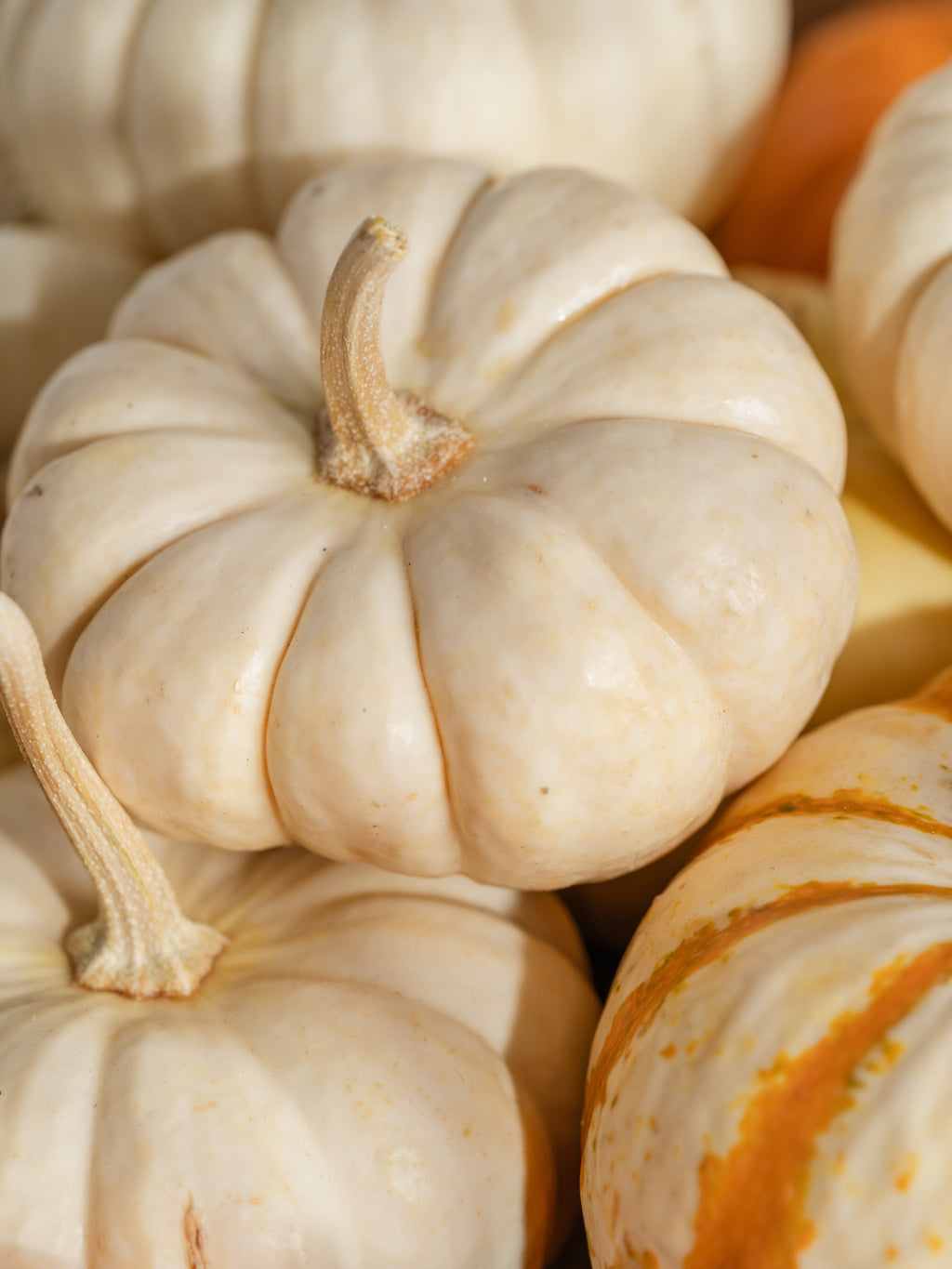 Pumpkin Macchiato - Create Freshness on Demand