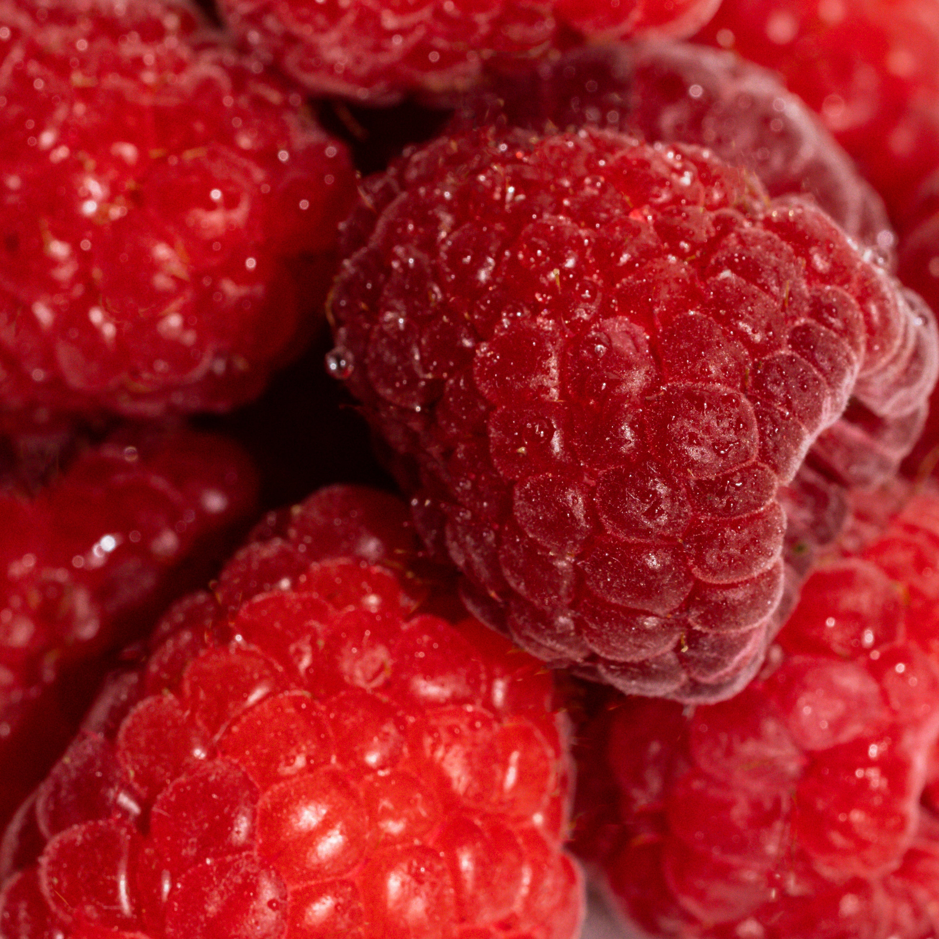Vanilla Berry - Discover Your Favorite Home Scent