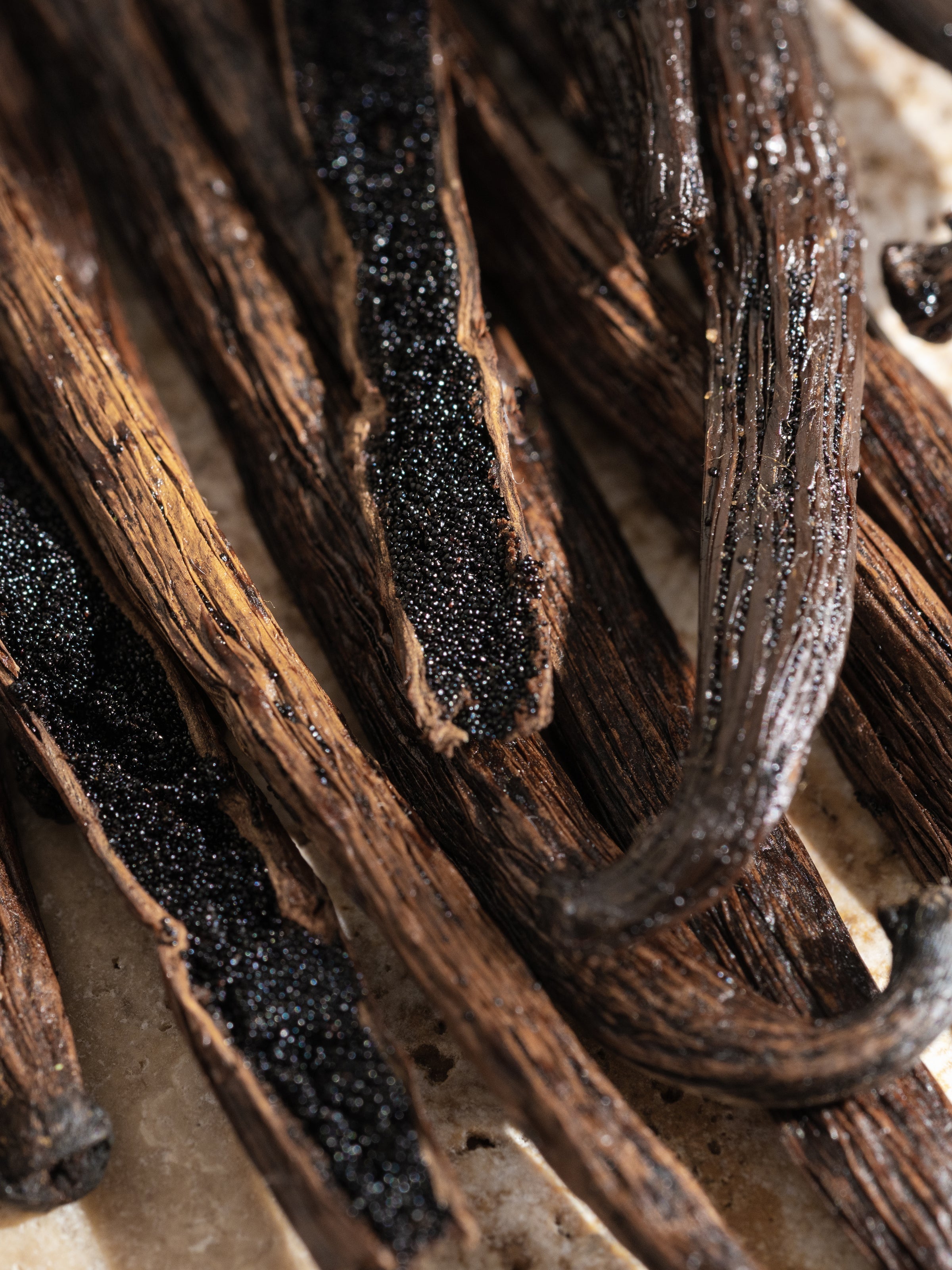 Cardamom Vanilla - Create a Welcoming Home