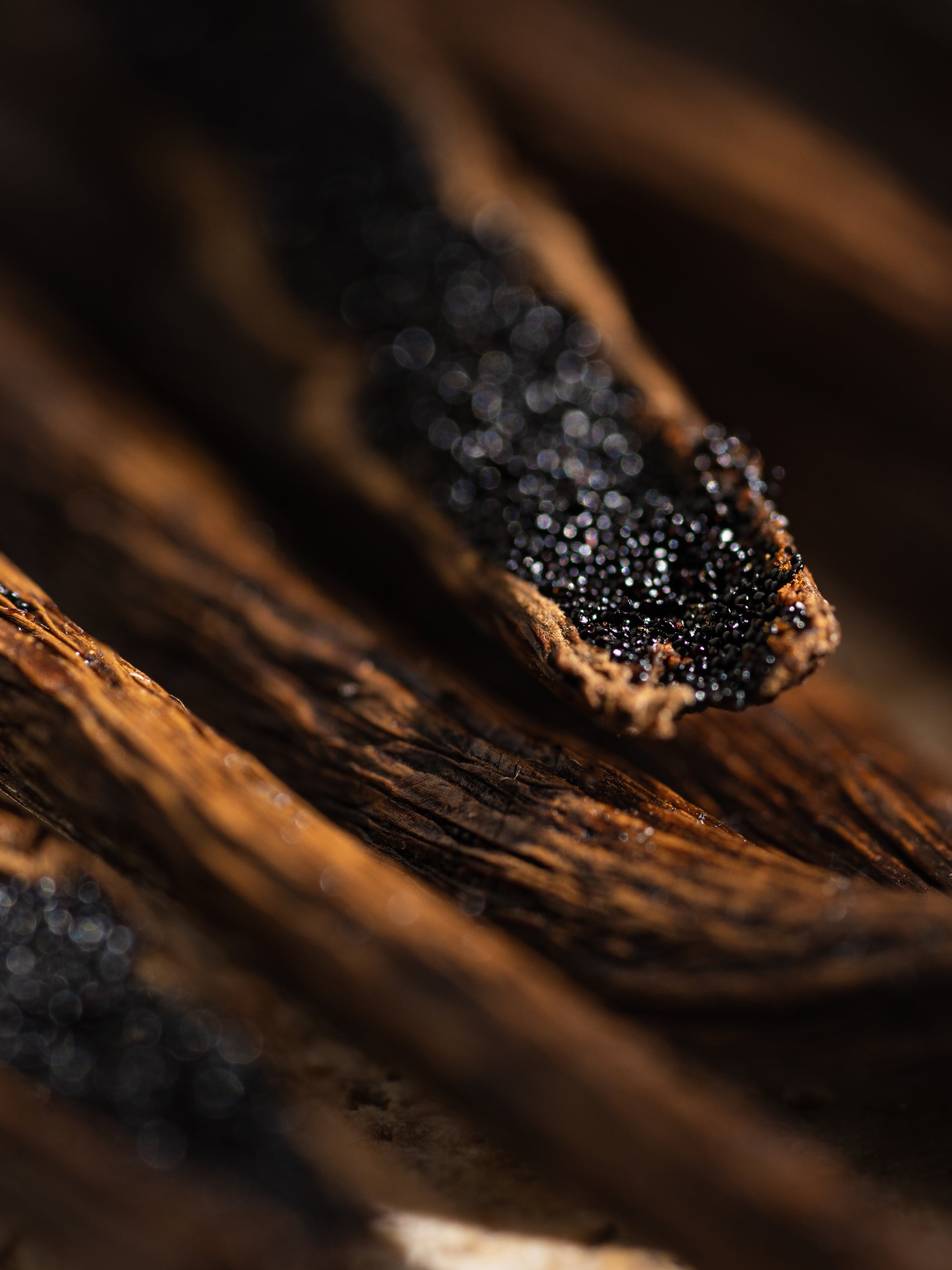 White Maple Bourbon - Enjoy Scent Without a Candle