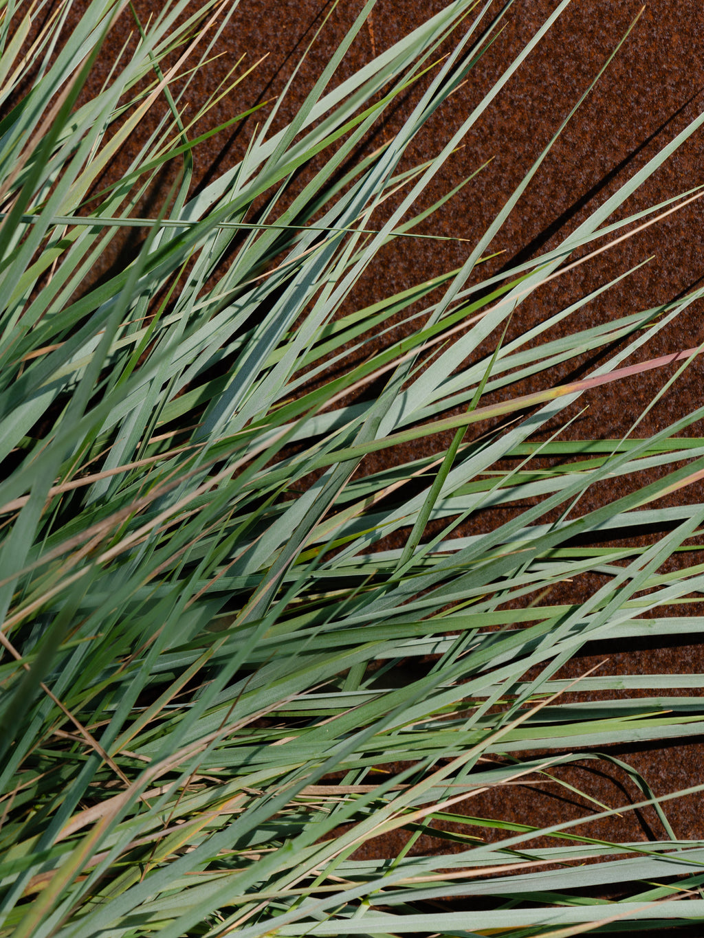 White Vetiver - Home Fragrance Made Easy