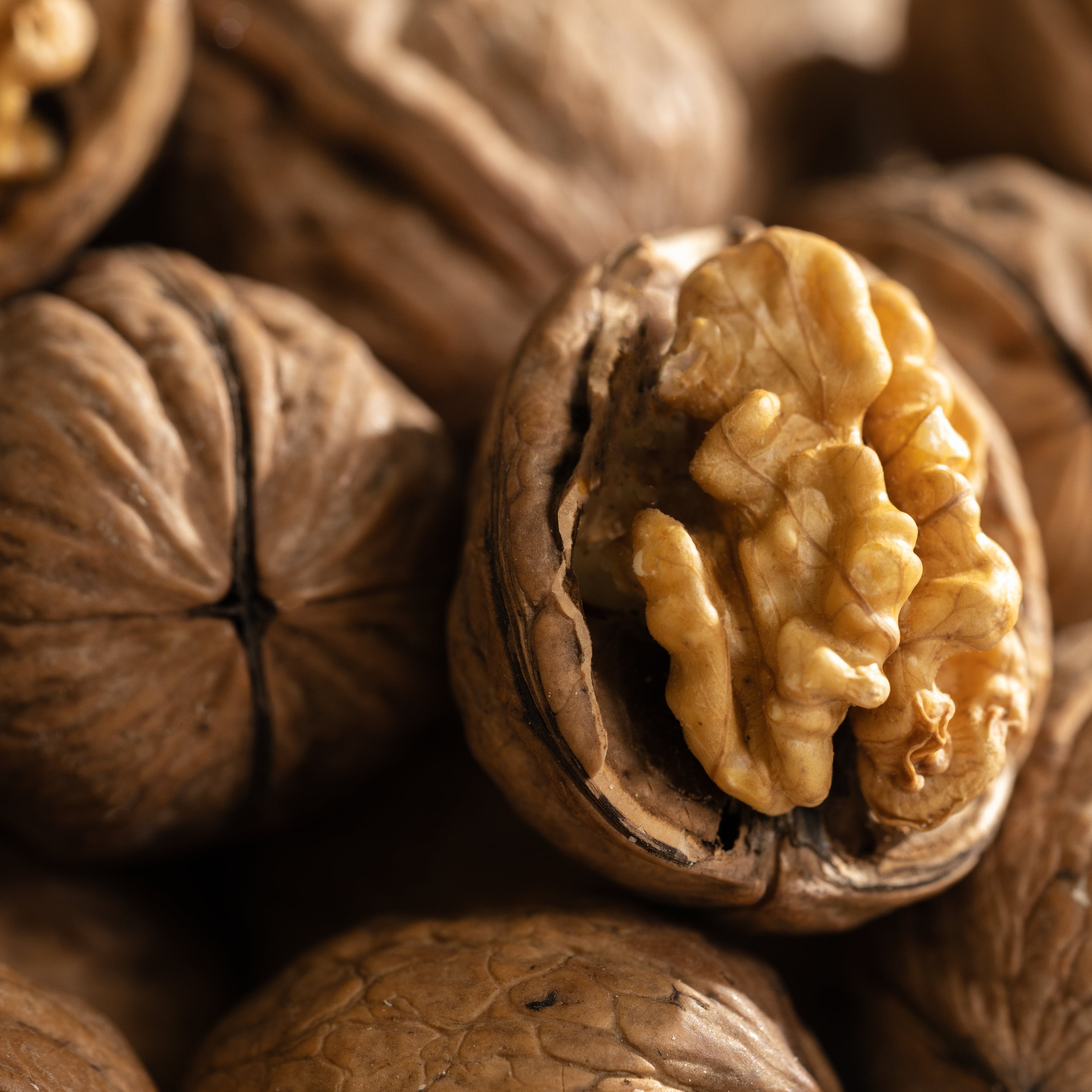 Pumpkin Spice & Black Walnut - Make Your Home Feel Brighter