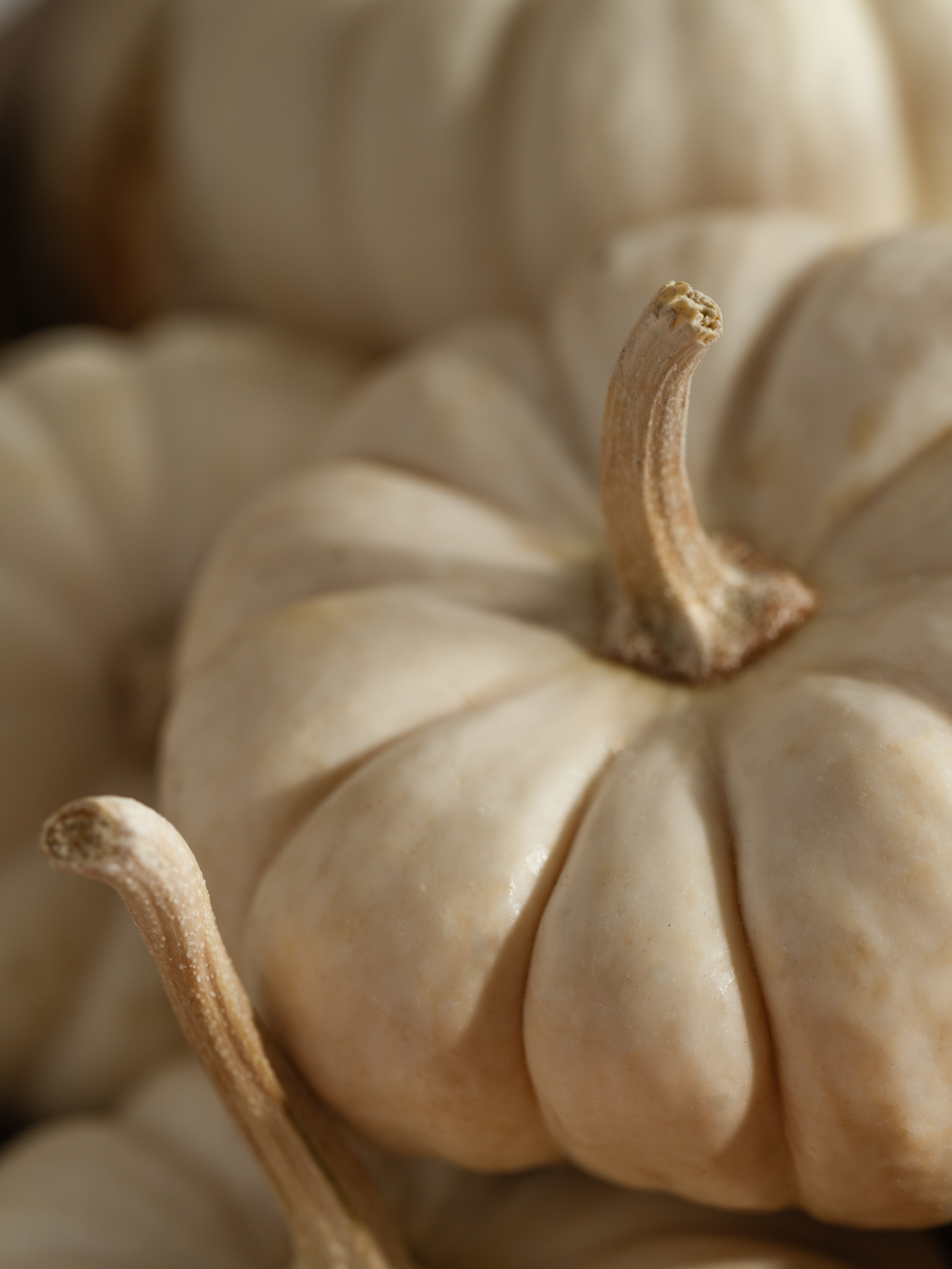 White Birch & Pumpkin - Make Home Smell Like Home